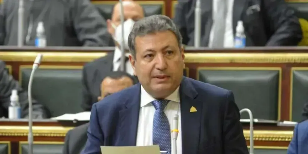 طارق شكري 