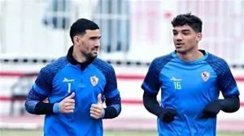 محمد صبحي