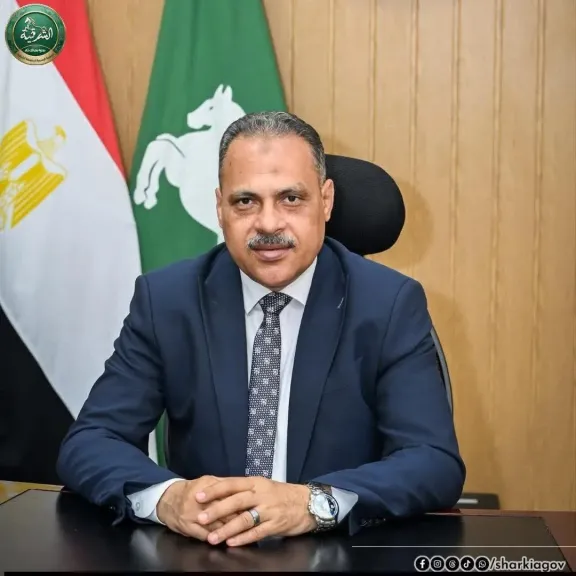 محافظ الشرقية 