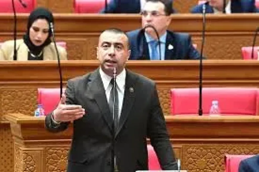 أحمد شلبي 