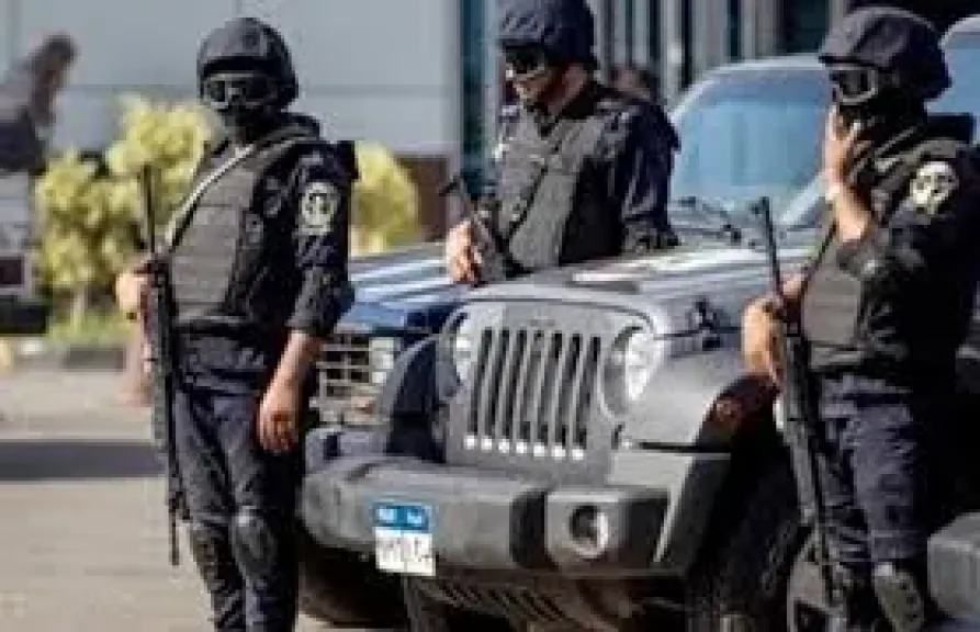 القبض على عناصر بؤرة إجرامية لترويج المخدرات بالدقهلية - أرشيفية