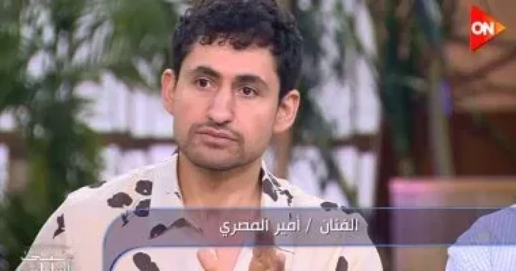 الفنان أمير المصري  