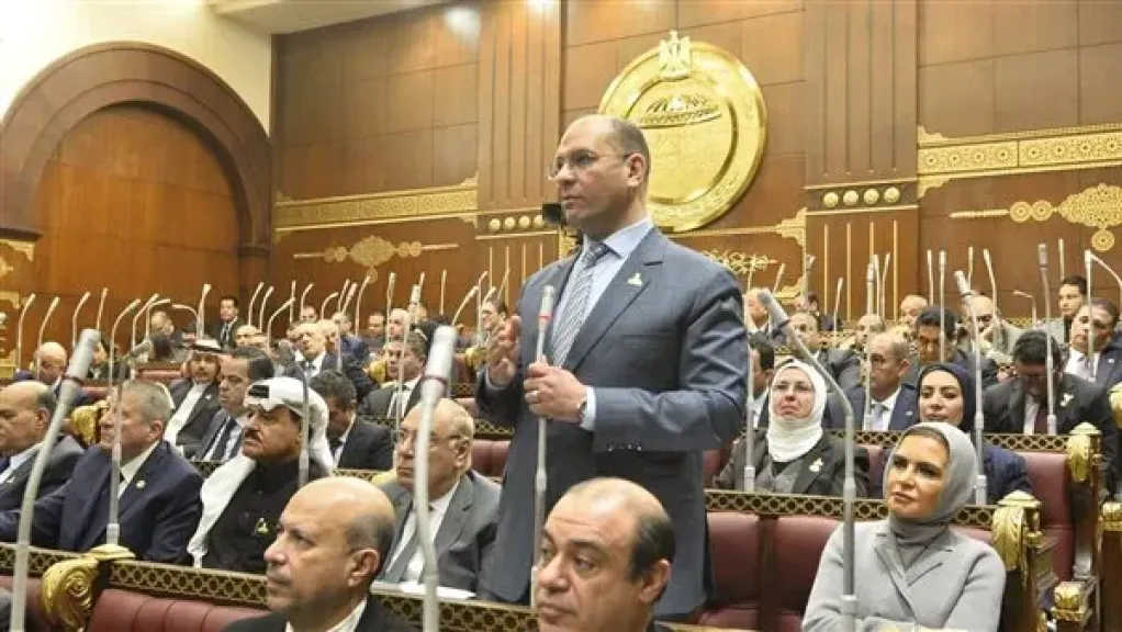 النائب أحمد ادريس