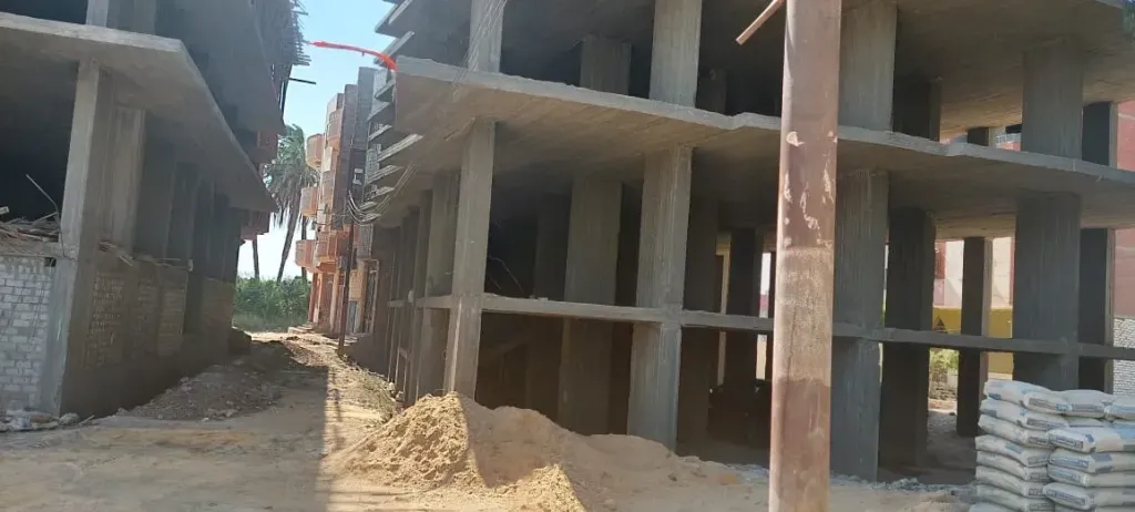 ارشيفية 