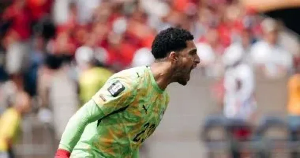 مصطفي شوبير 