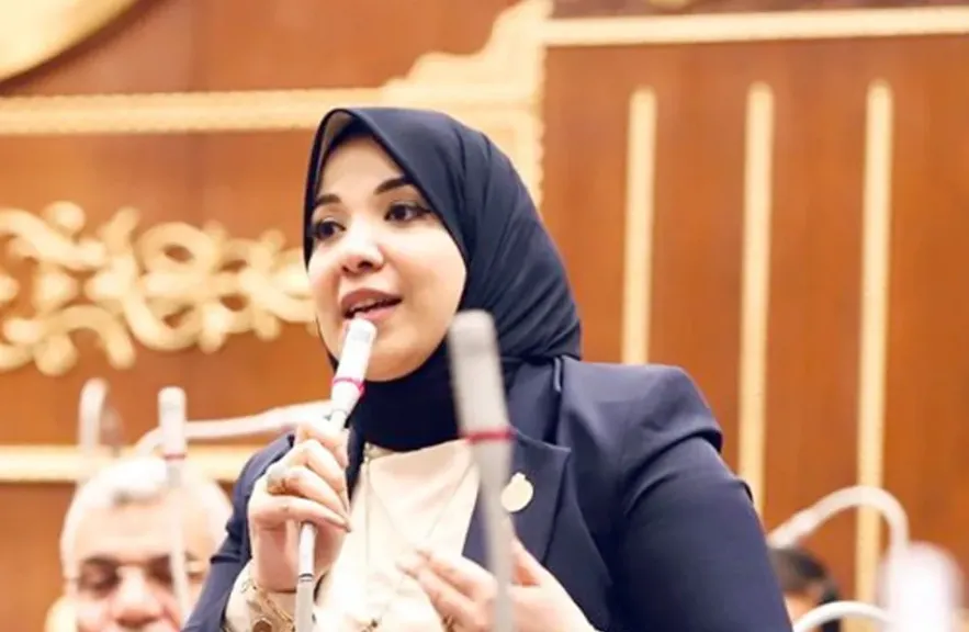 النائبة دينا هلالي، عضو مجلس النواب