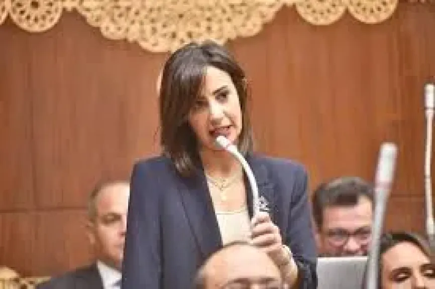 النائبة يوستينا رامي عضو مجلس الشيوخ