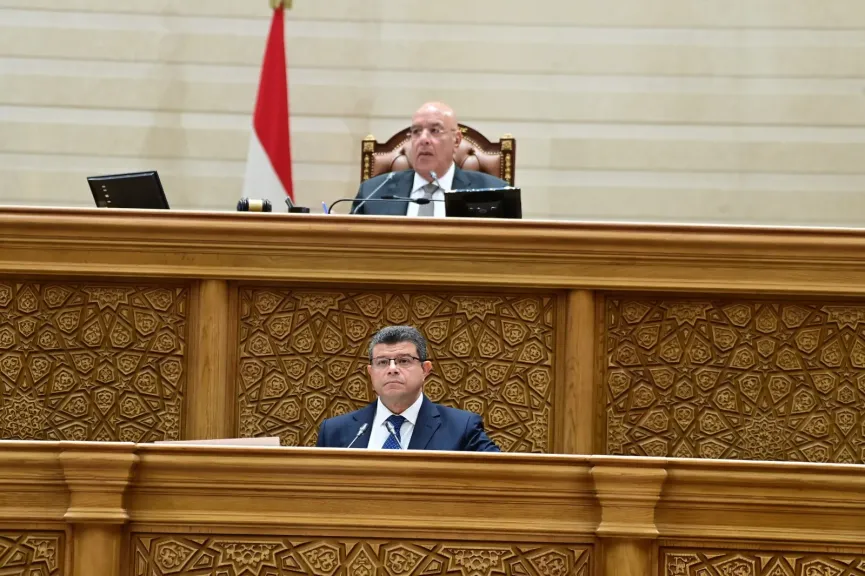 المستشار هشام بدوى