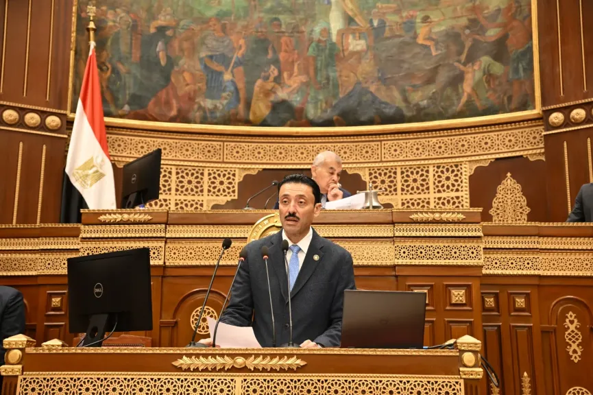 النائب محمد رزق 