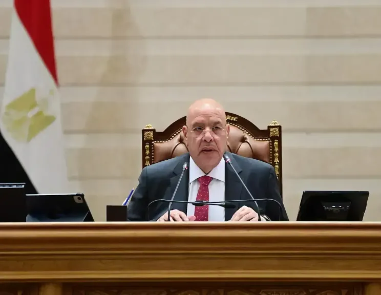 المستشار هشام بدوى