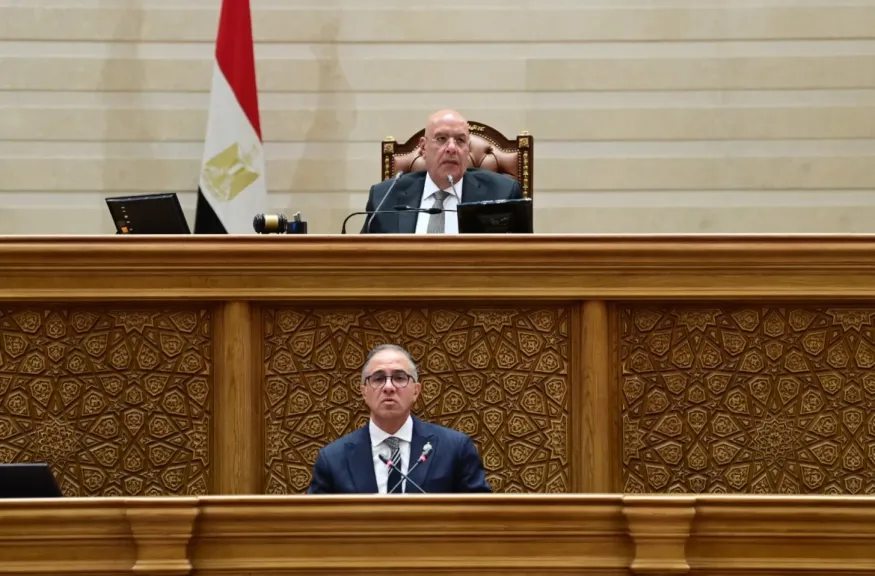 المستشار هشام بدوي