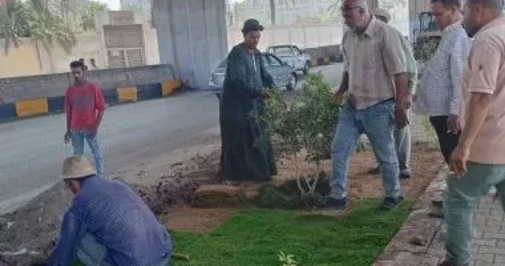 زراعة أحواض الزهور بشارع مشرفة ببولاق الدكرور