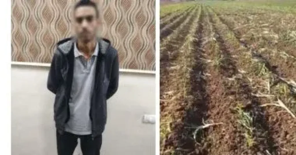 المتهم عقب القبض عليه