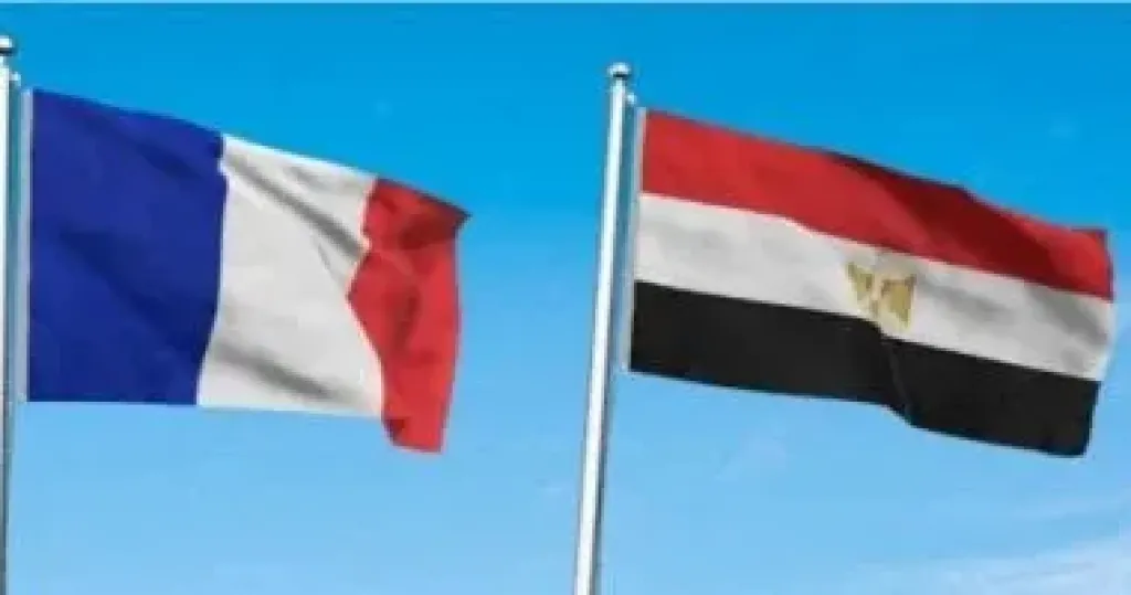 علما مصر وفرنسا