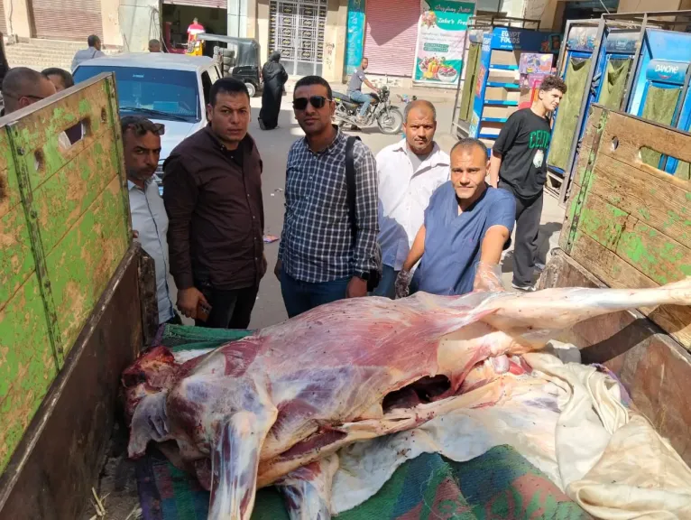 جانب من المضبوطات 