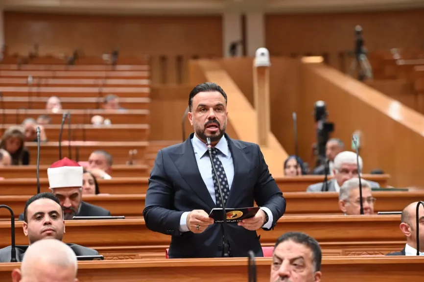 النائب محمد السيد مجاهد