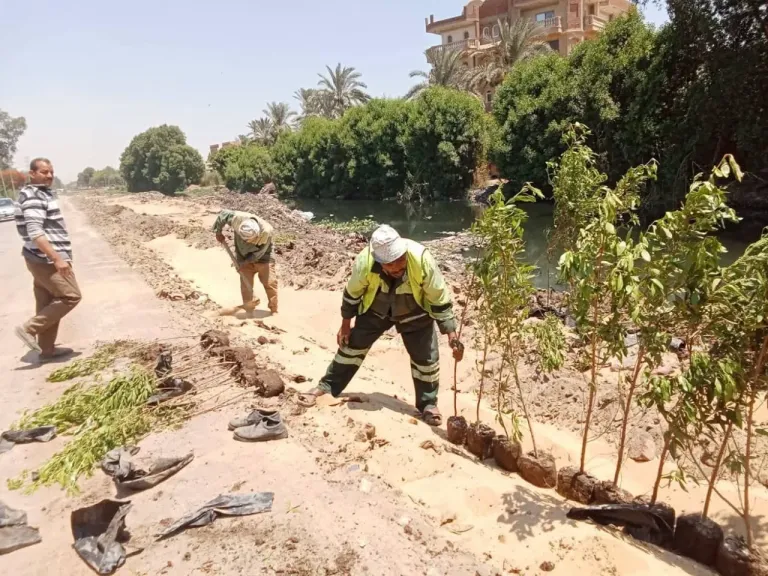 ازرع شجرة