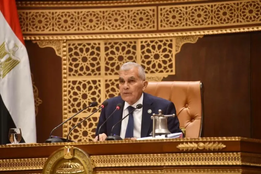  المستشار عصام فريد