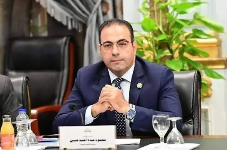 الدكتور محمود حسين 