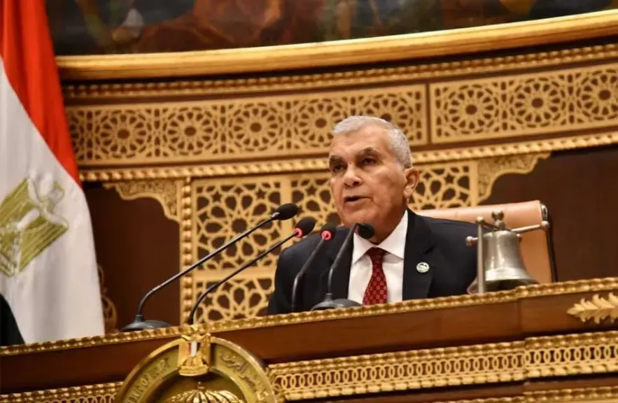 المستشار عصام فريد