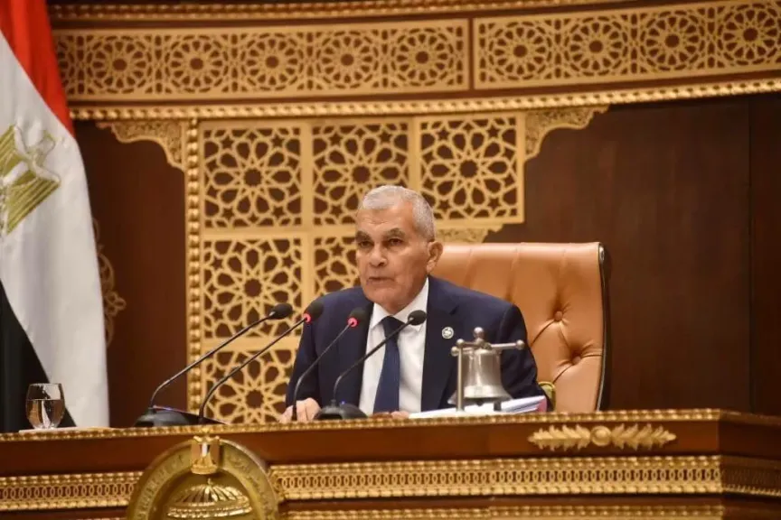 المستشار عصام فريد