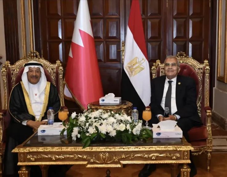 رئيس مجلس الشيوخ مع نظيرة  البحريني
