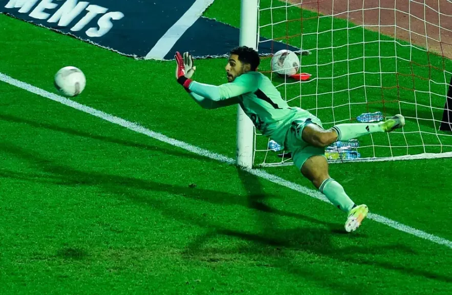 مصطفى شوبير