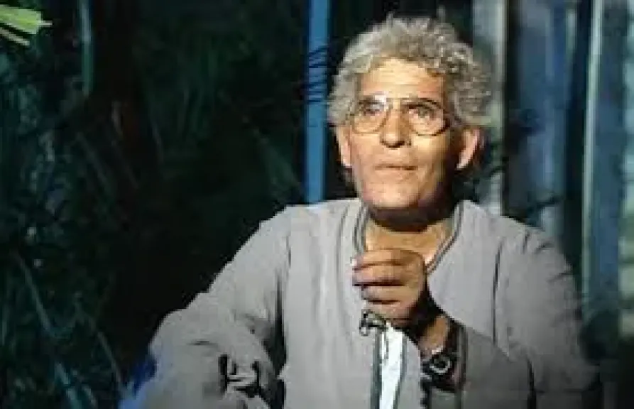محمد عفيفى مطر