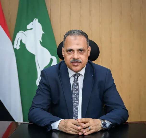محافظ الشرقية 