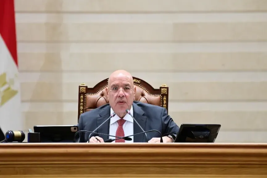  المستشار هشام بدوي