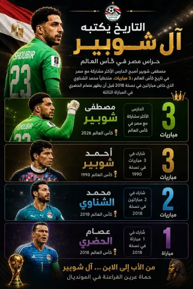 مصطفي شوبير
