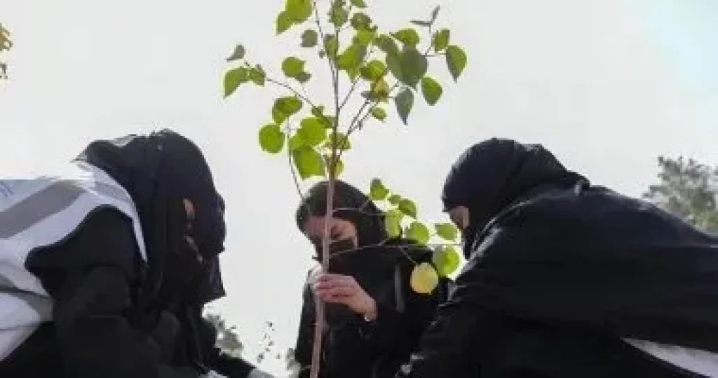 مبادرة "مدن الجمال الحضري"