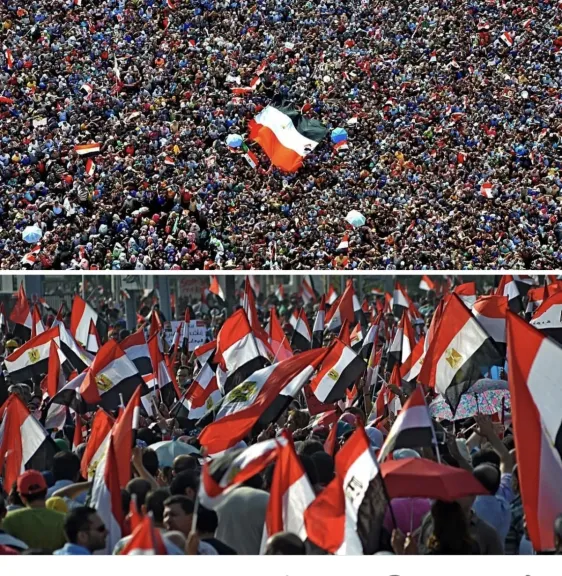 ثورة٣٠ يونيو