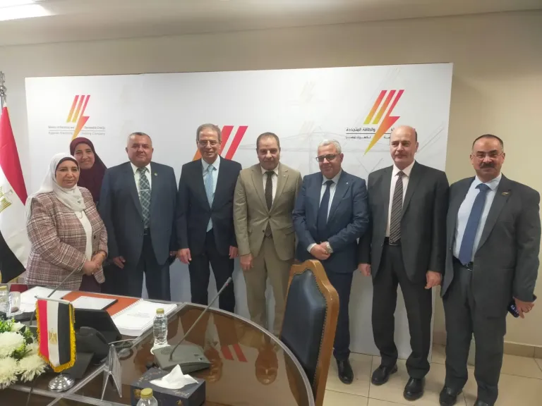 2.9 مليار جنيه لتطوير خدمات الكهرباء في محافظات مصر الوسطى