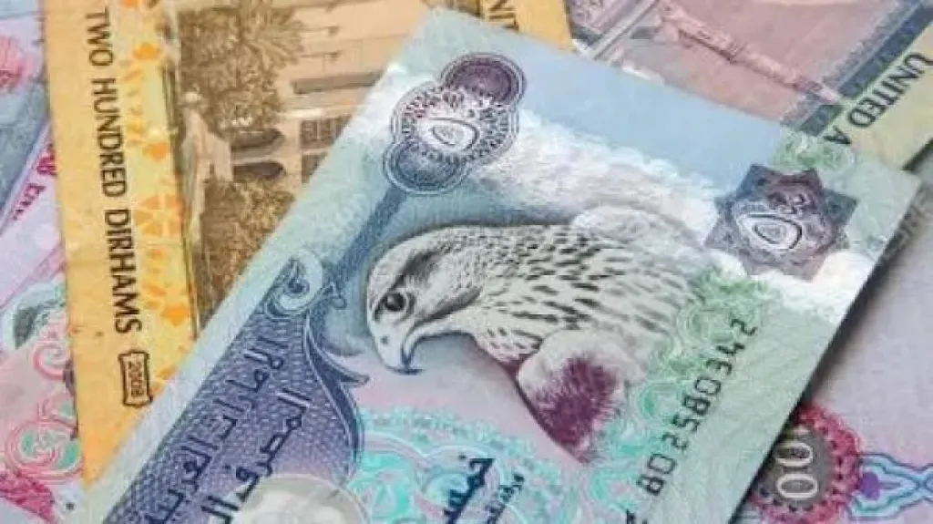 سعر الدرهم الإماراتى