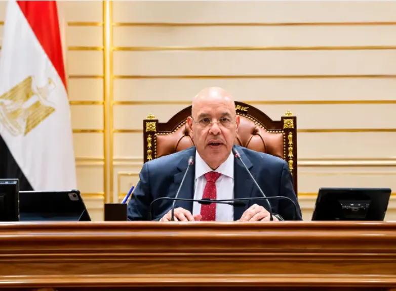 المستشار  هشام بدوي