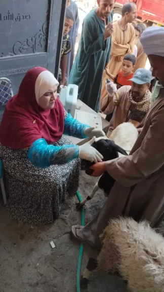 جانب من الكشف 