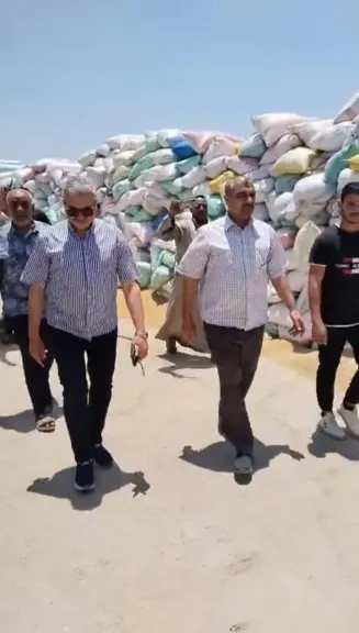 جانب من التوريد
