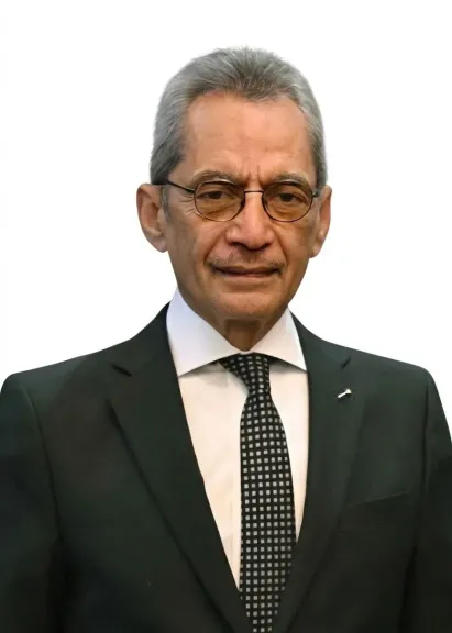 المستشار هاني حنا