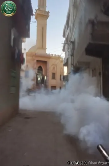 جانب  من رش الناموس