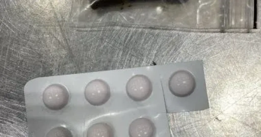 المضبوطات 
