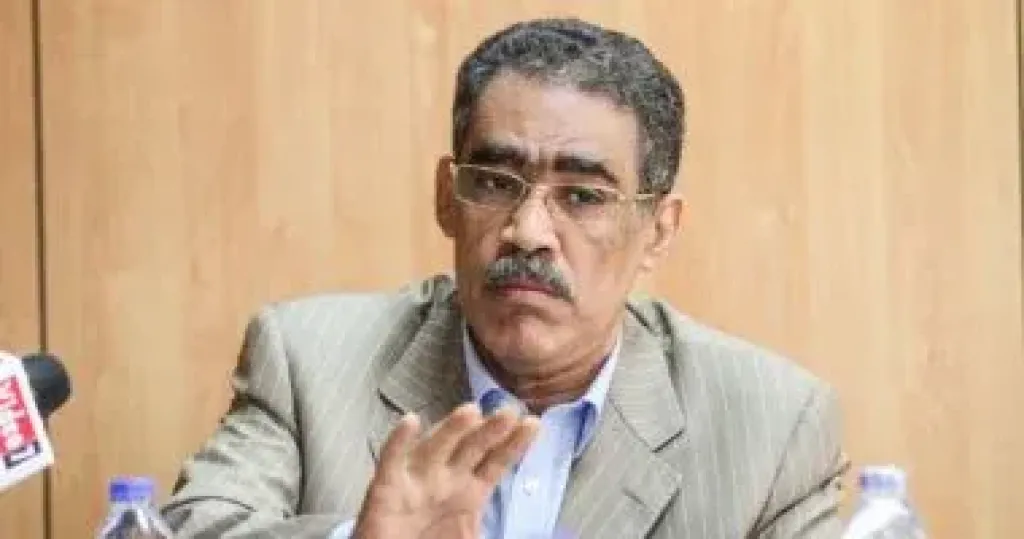 ضياء رشوان 
