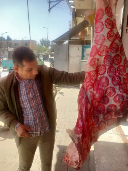 حملات بيطرية 