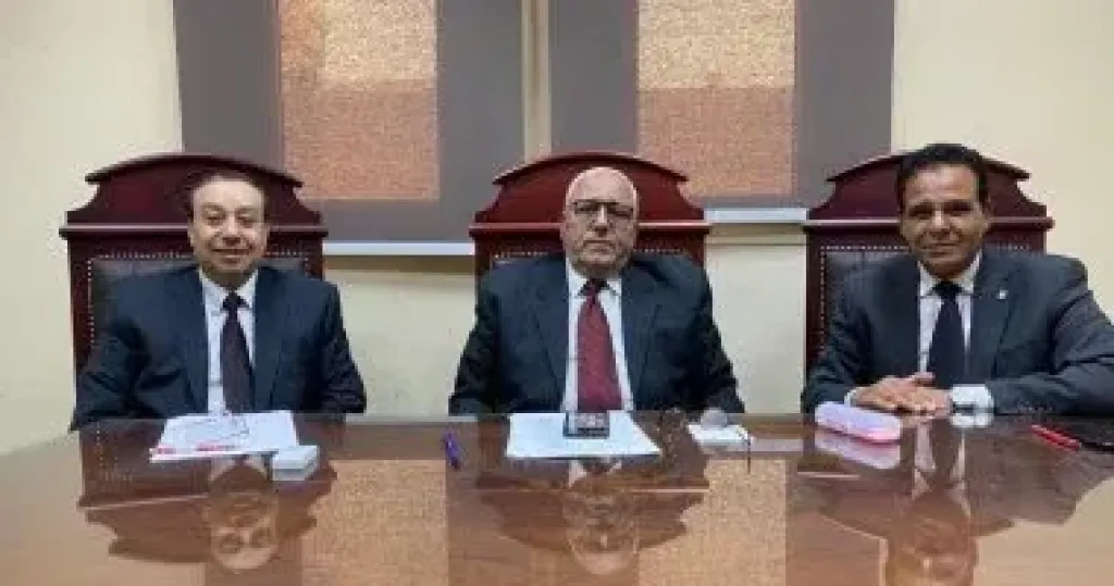 المستشار محمد السعيد الشربينى