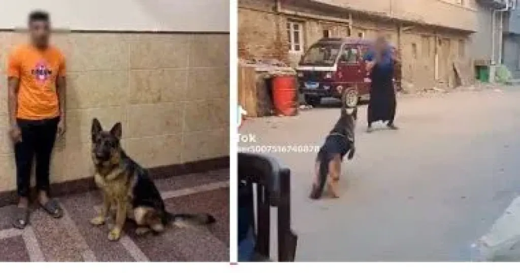 المتهم 