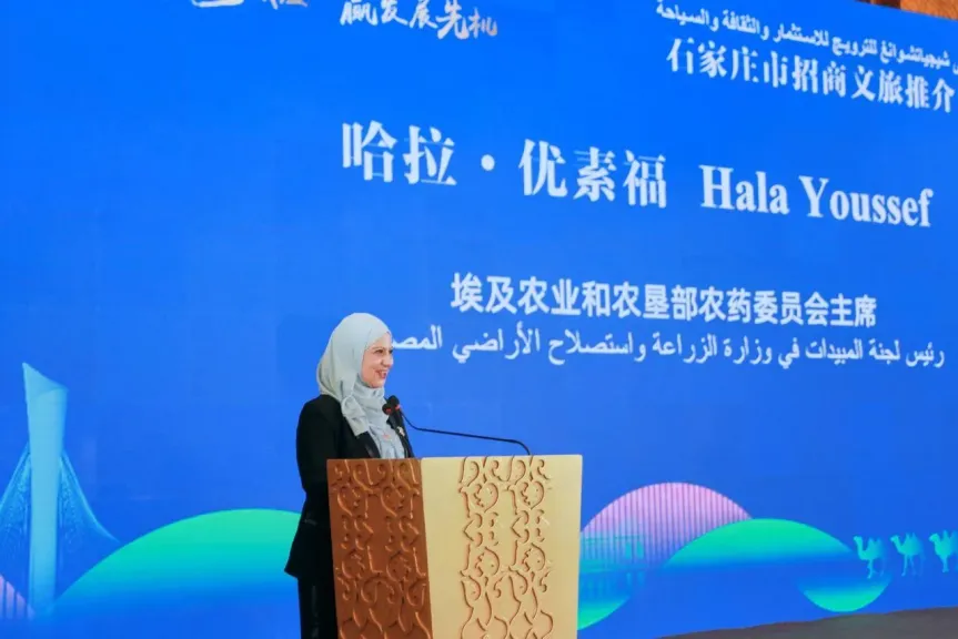 دكتورة هالة أبو يوسف