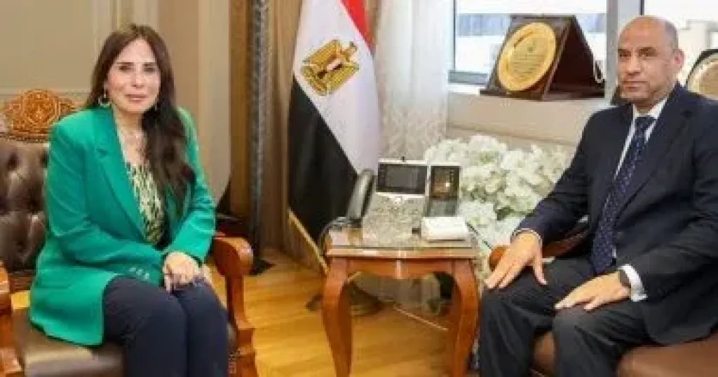 وزيرا الإسكان والعمل يبحثان توفير عمالة في قطاع التشييد
