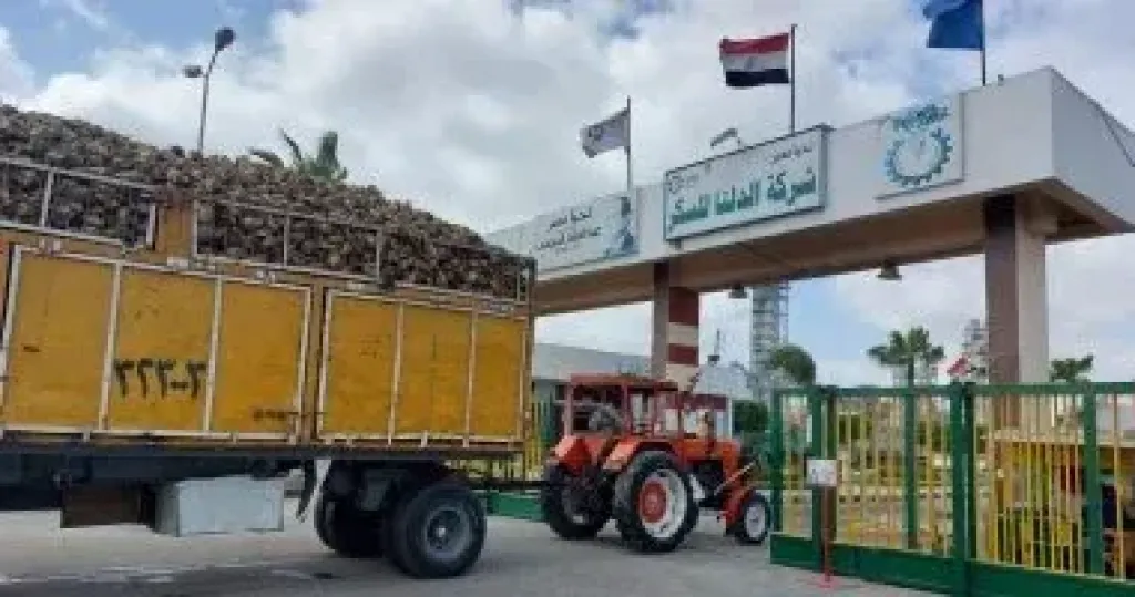 شركة الدلتا للسكر