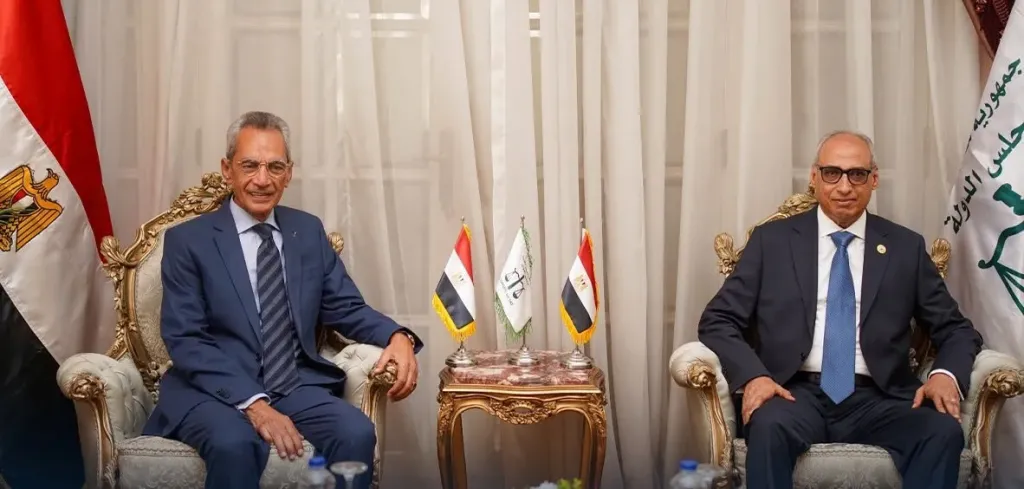 اجتماع وزير شئون المجالس النيابية مع رئيس مجلس الدولة