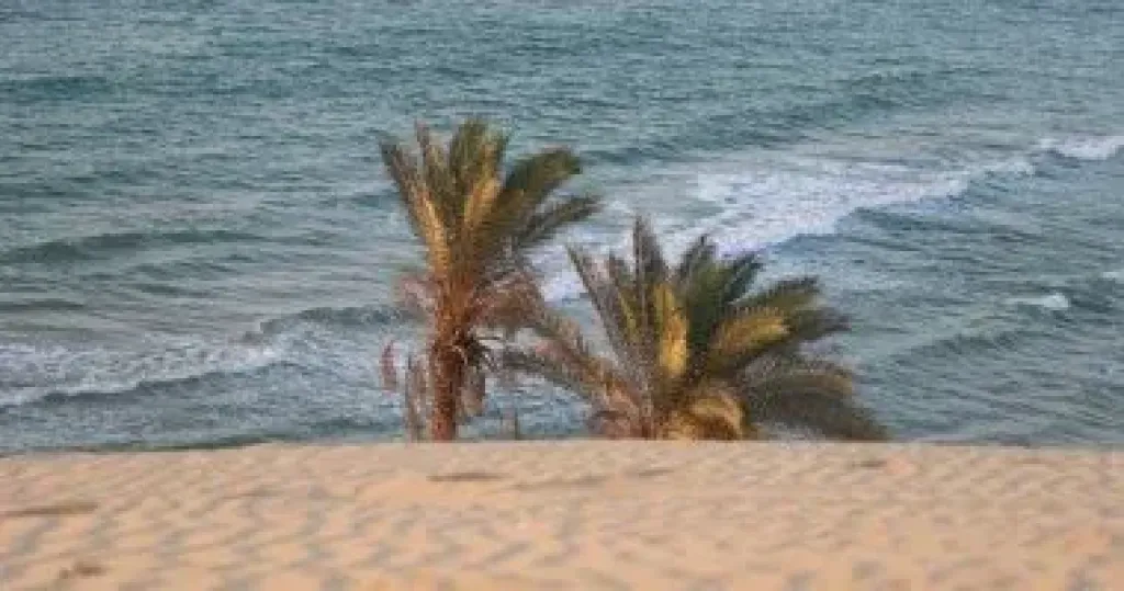 الطقس 